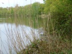 P1000269